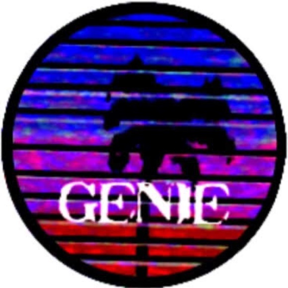 genie1custom